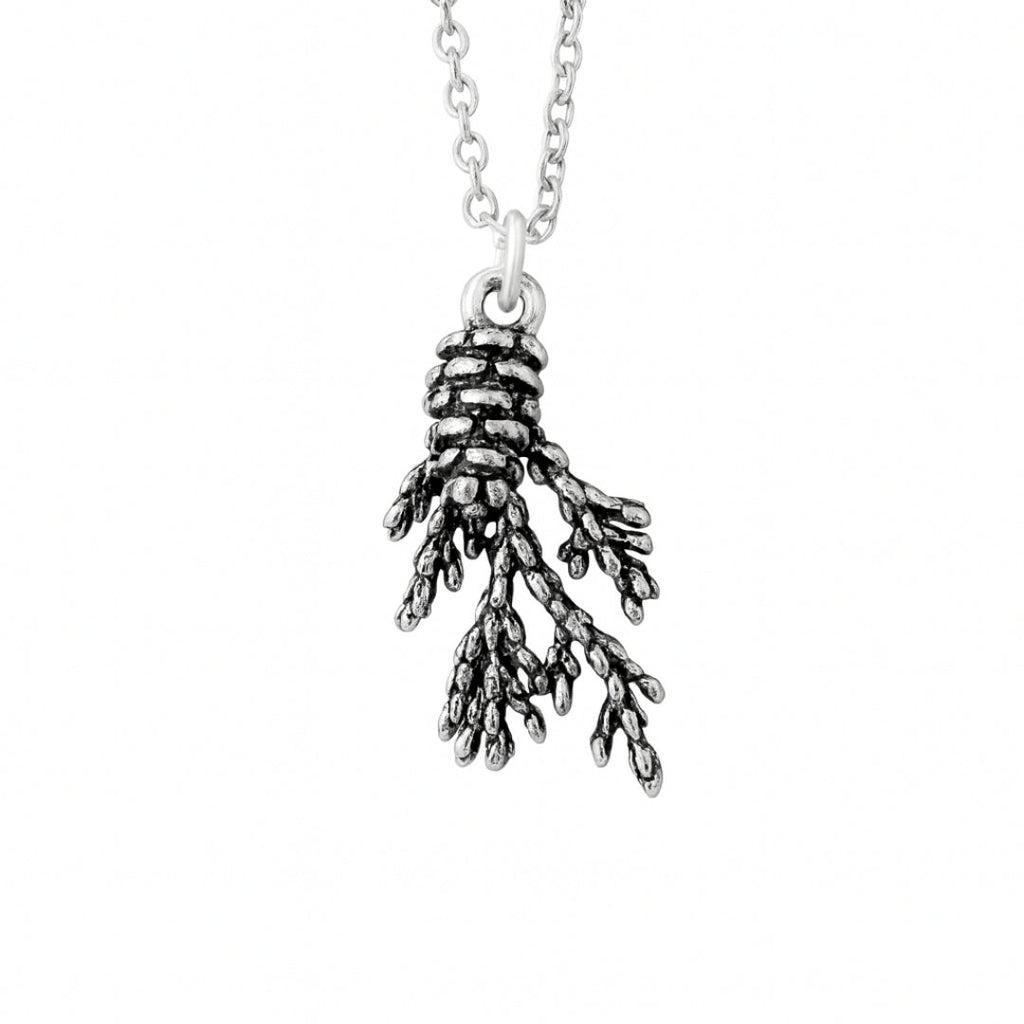 Argent Collier romantique pour moments spéciaux