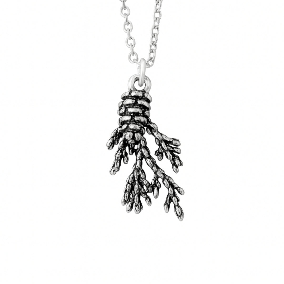 Argent Collier romantique pour moments spéciaux