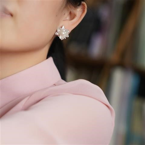 Argent Boucle d'oreille charmant pour toute occasion