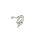 Argent Bague charmant pour toute occasion