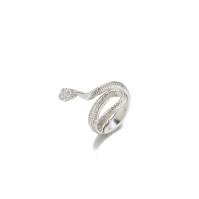 Argent Bague charmant pour toute occasion
