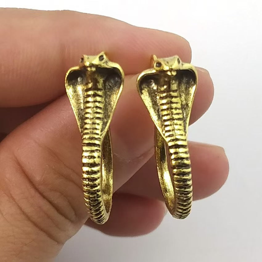 Argent Boucle d'oreille charmant pour toute occasion