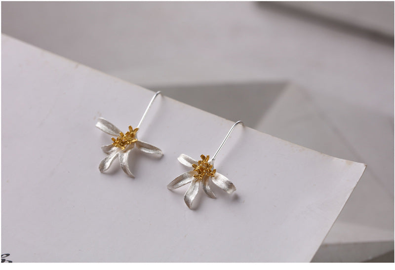 Argent Boucle d'oreille charmant pour toute occasion