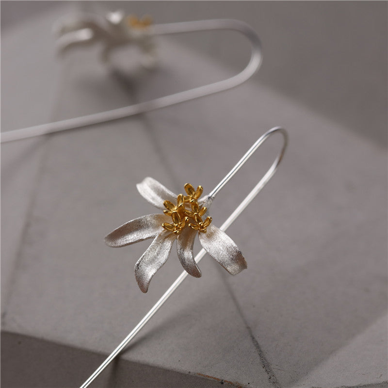 Argent Boucle d'oreille charmant pour toute occasion