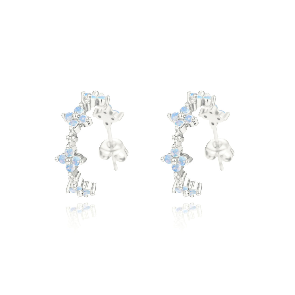 Argent Boucle d'oreille charmant pour toute occasion
