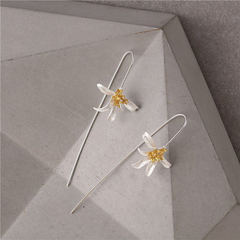 Argent Boucle d'oreille charmant pour toute occasion