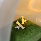 Argent Boucle d'oreille charmant pour toute occasion