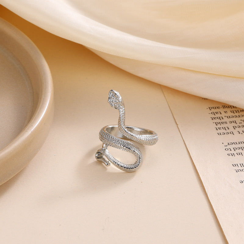 Argent Bague charmant pour toute occasion