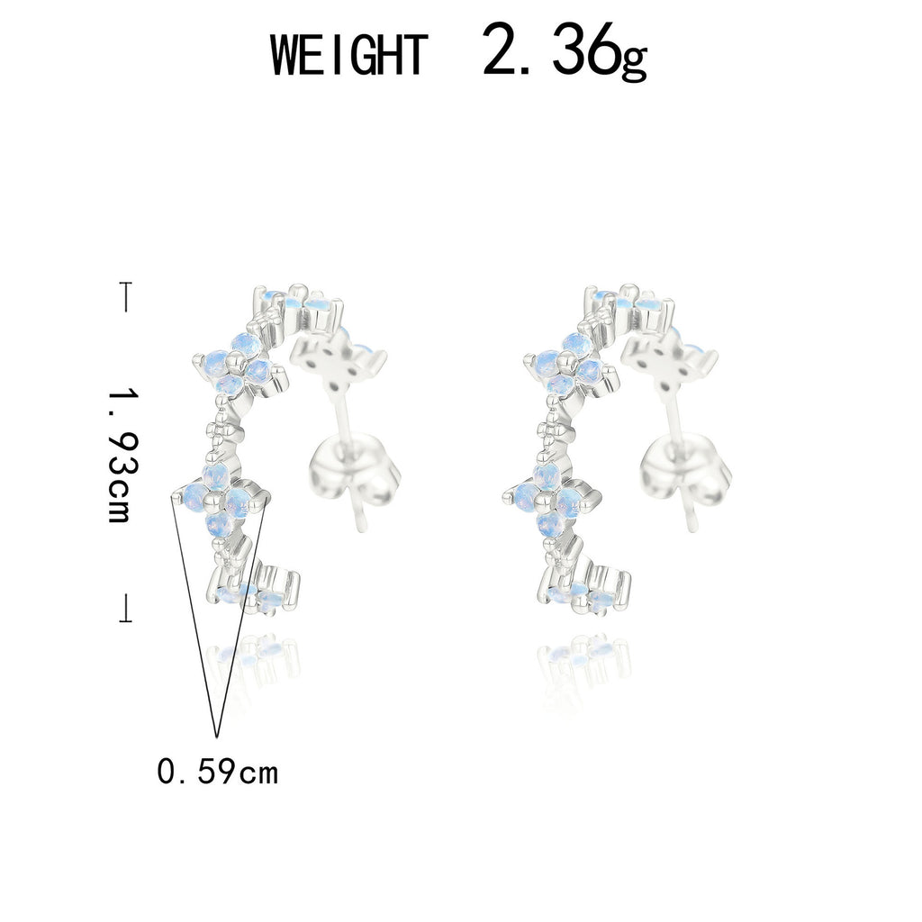 Argent Boucle d'oreille charmant pour toute occasion