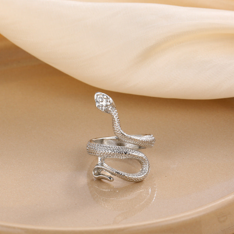 Argent Bague charmant pour toute occasion