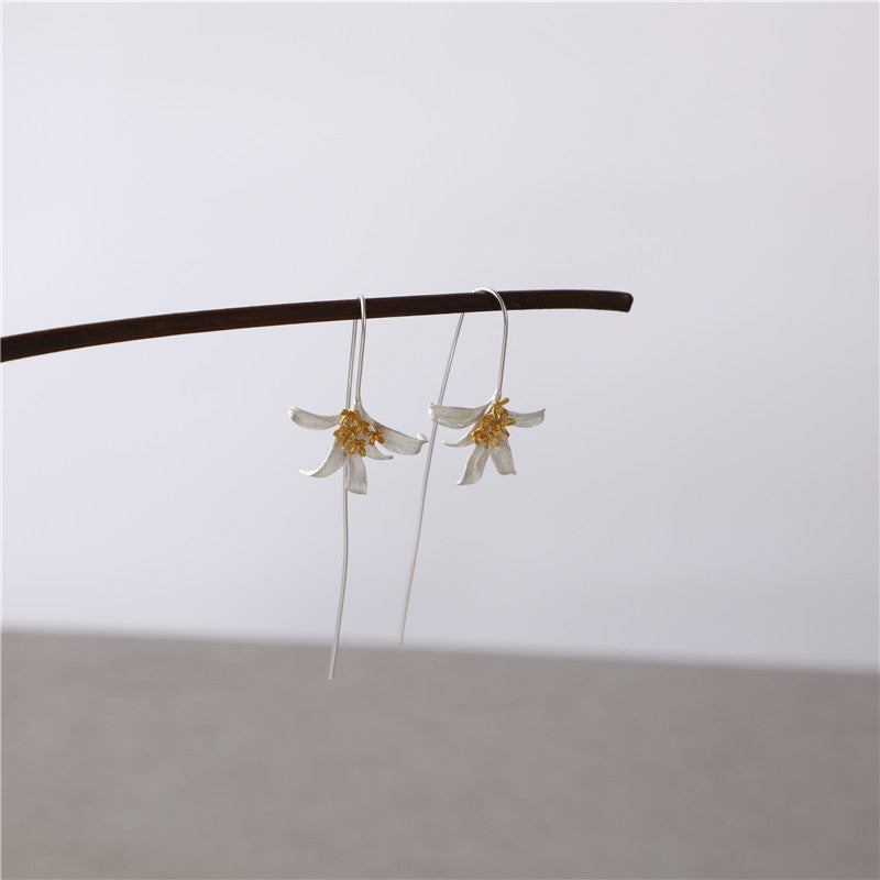 Argent Boucle d'oreille charmant pour toute occasion