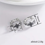 Argent Boucle d'oreille charmant pour toute occasion