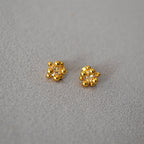 Argent Boucle d'oreille charmant pour toute occasion