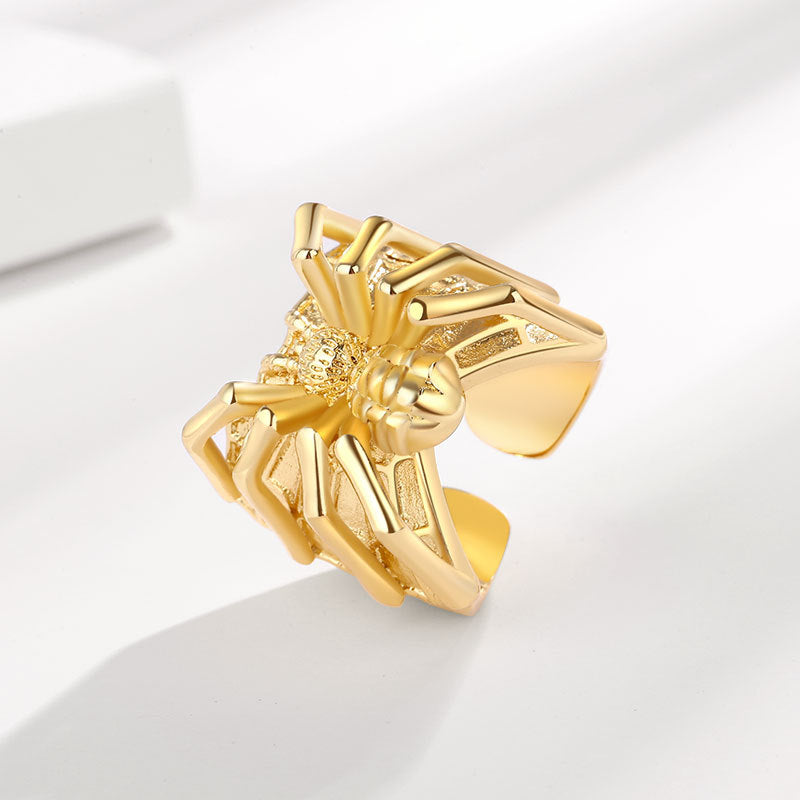 Argent Bague classique au charme intemporel