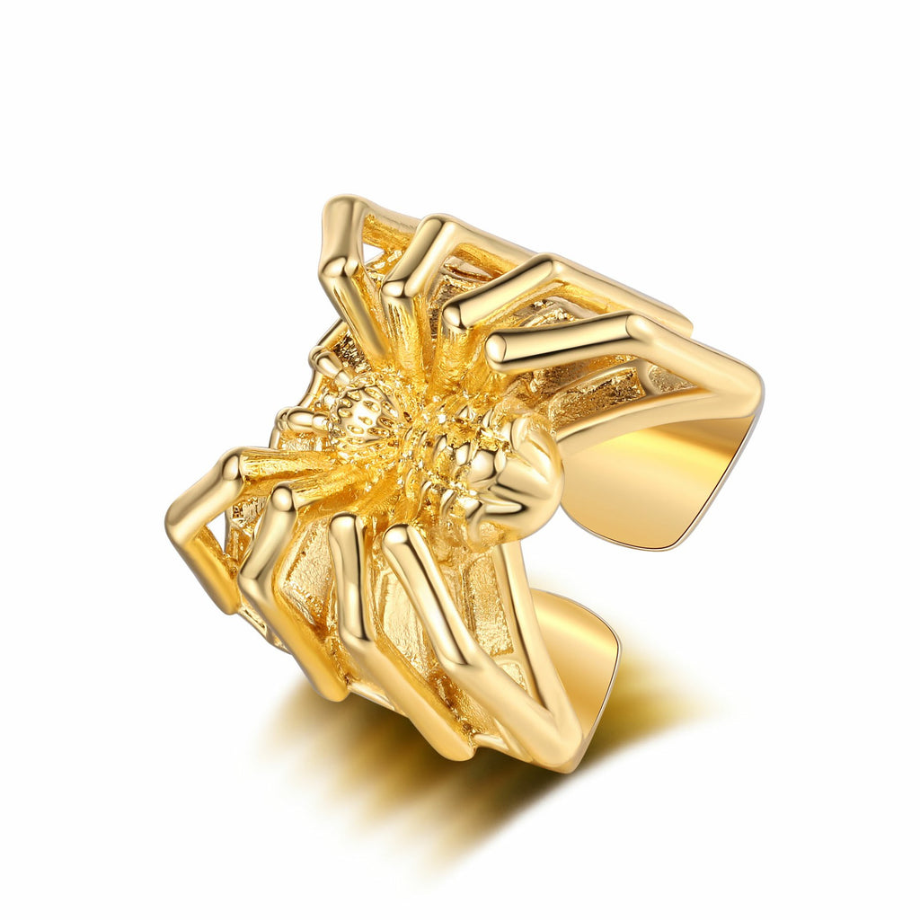 Argent Bague classique au charme intemporel