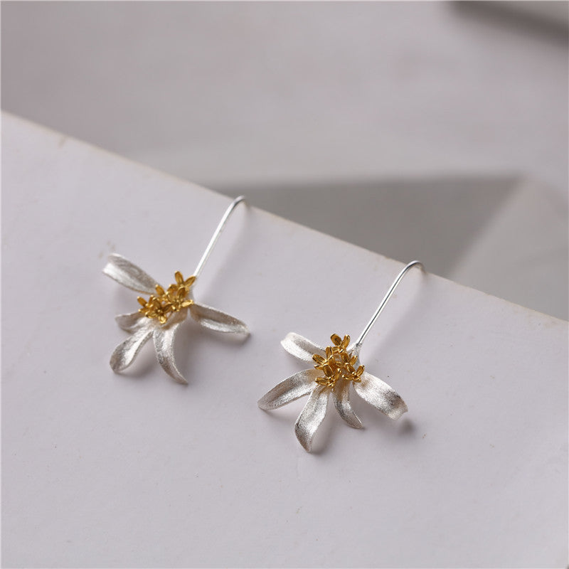 Argent Boucle d'oreille charmant pour toute occasion