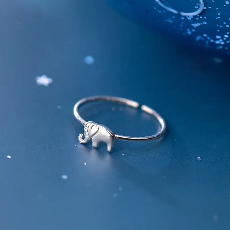 Argent Bague charmant pour toute occasion