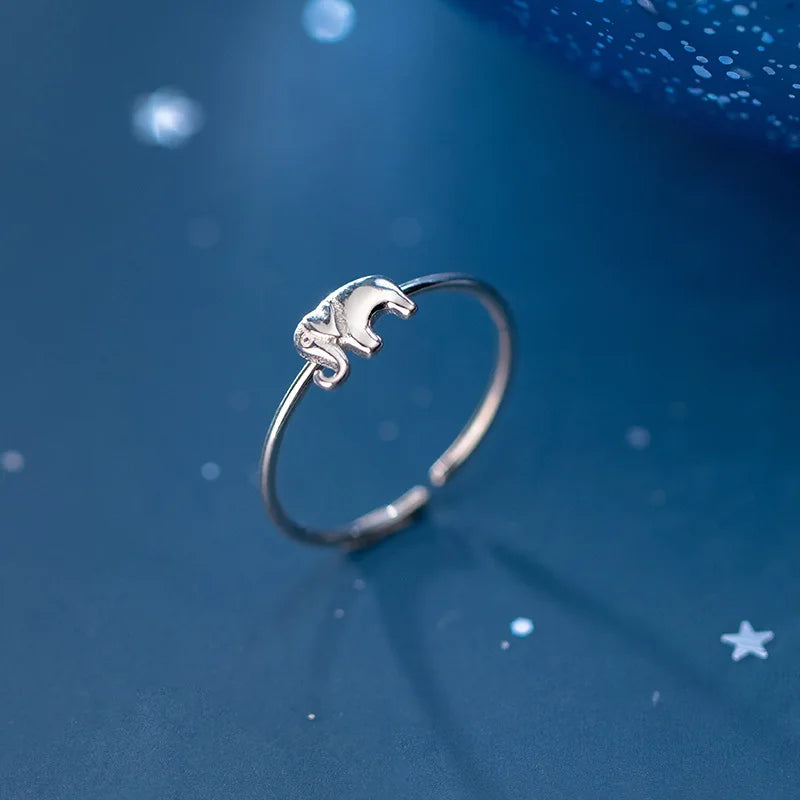 Argent Bague charmant pour toute occasion