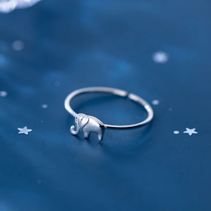 Argent Bague charmant pour toute occasion