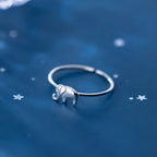 Argent Bague charmant pour toute occasion