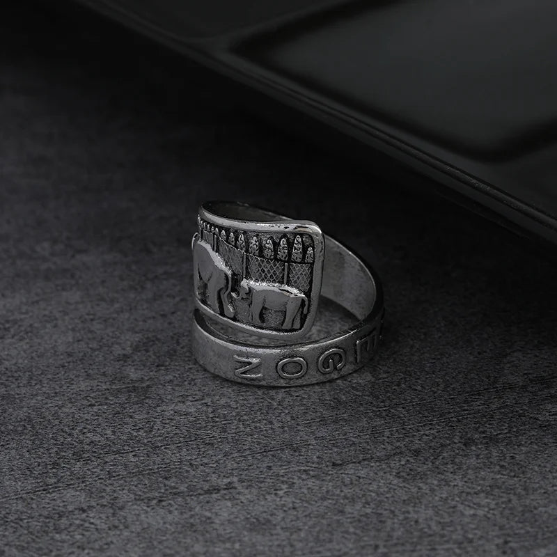 Argent Bague charmant pour toute occasion